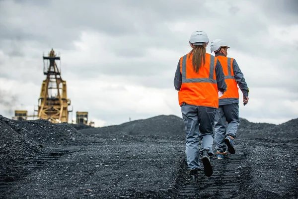 Génie des mines